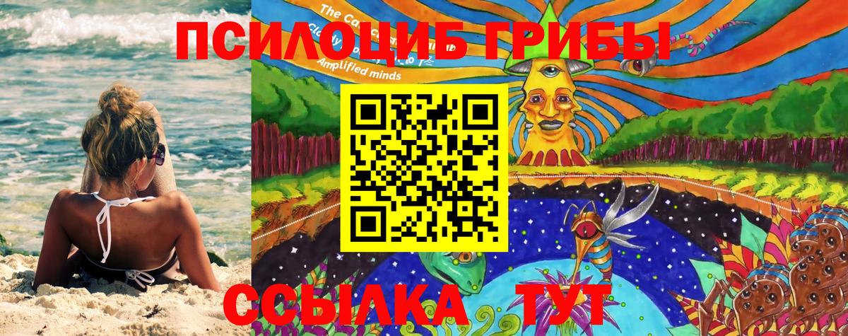 Галлюциногенные грибы GOLDEN TEACHER Карабулак