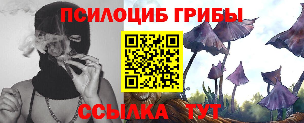 Карабулак  Псилоцибиновые грибы мицелий  Вход с VPN  Галлюциногенные грибы Magic Shrooms 