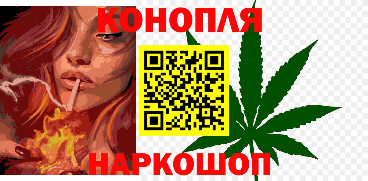 Бошки марихуана планчик  Бошки Шишки White Widow  Карабулак  Марихуана сатива  Вход с VPN 